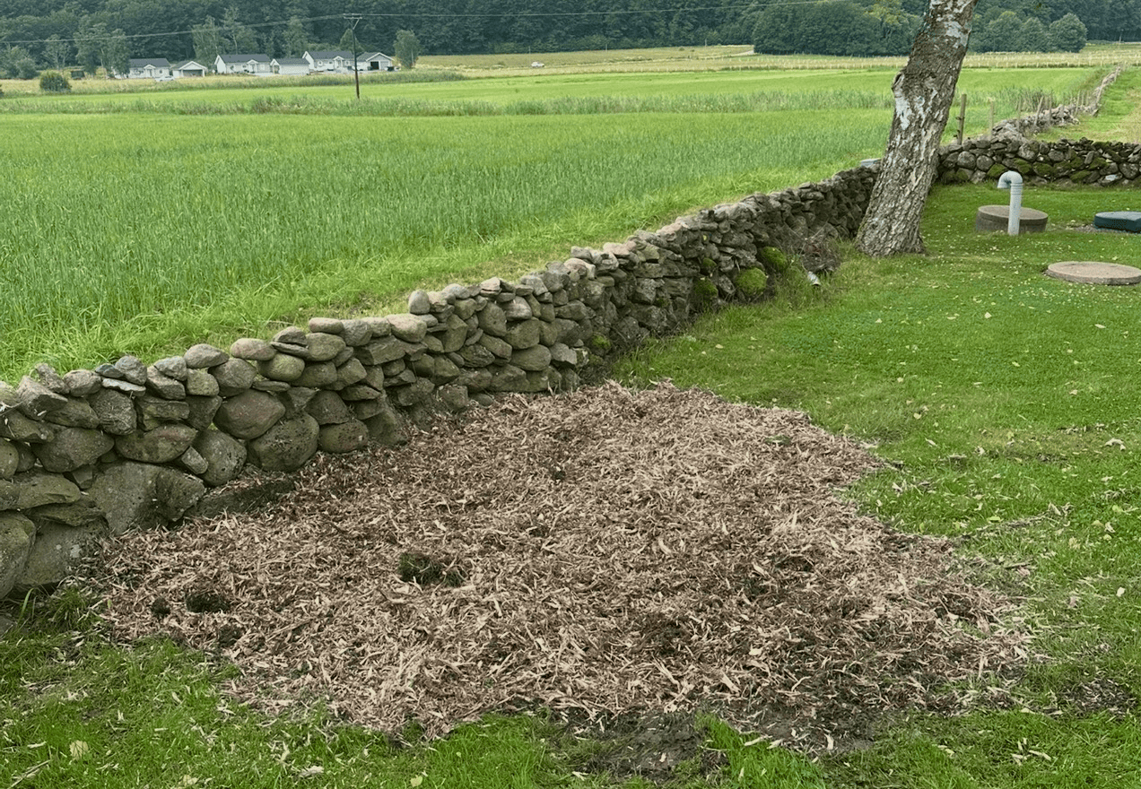 stubbfräsning.v3.kungälv